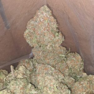 Packman mystery OG