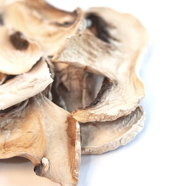 button-mushrooms-sliced-1.jpg White Button Mushroom growing kit