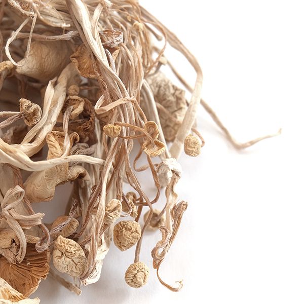 Enoki Mushrooms Near Me