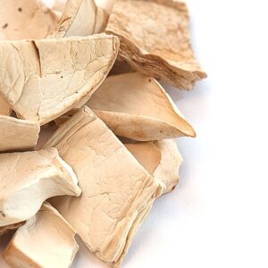 kings trumpet mushrooms