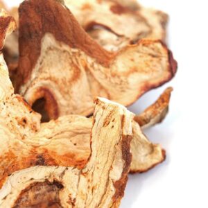 lobster-mushroom-1.jpg Dried Lobster Mushroom