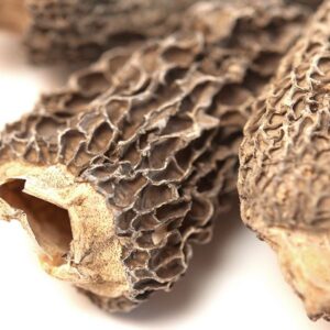 morel-mushrooms-1.jpg Morel Mushrooms