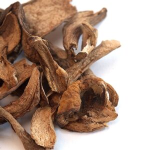 Dried Porcini Mushrooms